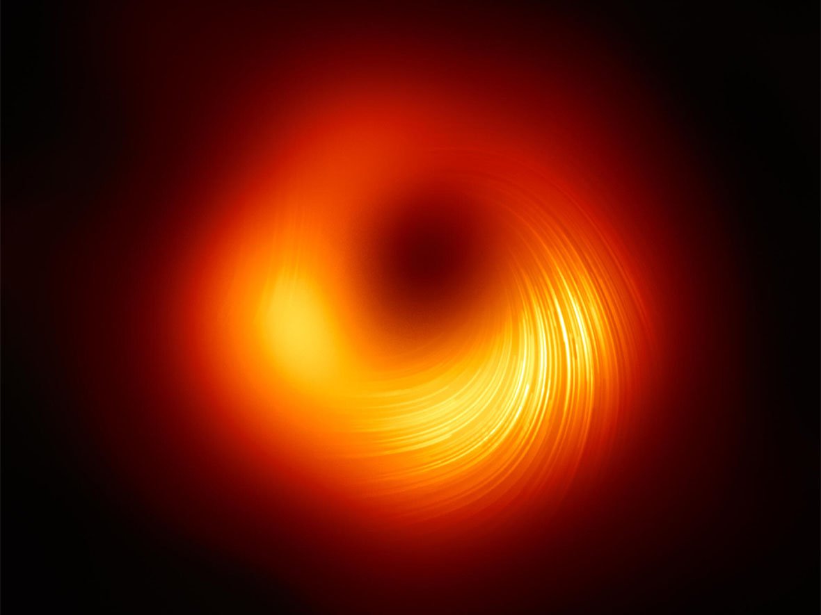 Polarized Black Hole